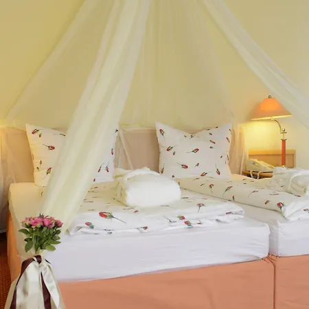 Seehotel Grossherzog Von Mecklenburg 4*