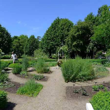 Seehotel Grossherzog Von Mecklenburg 4*