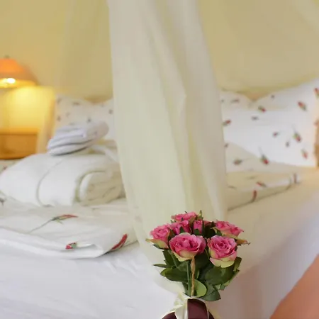 Hotel Seehotel Grossherzog Von Mecklenburg 4*